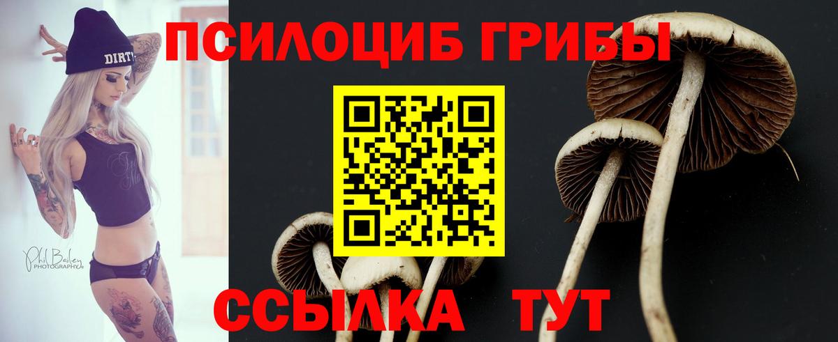 Калач-на-Дону  Галлюциногенные грибы Cubensis  Вход с VPN 